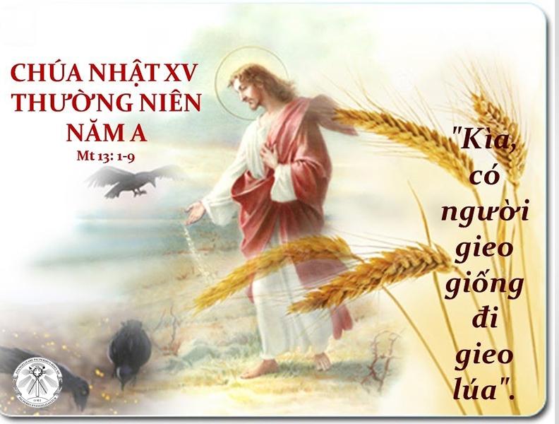 Chúa Nhật XV Thường Niên -  Năm A