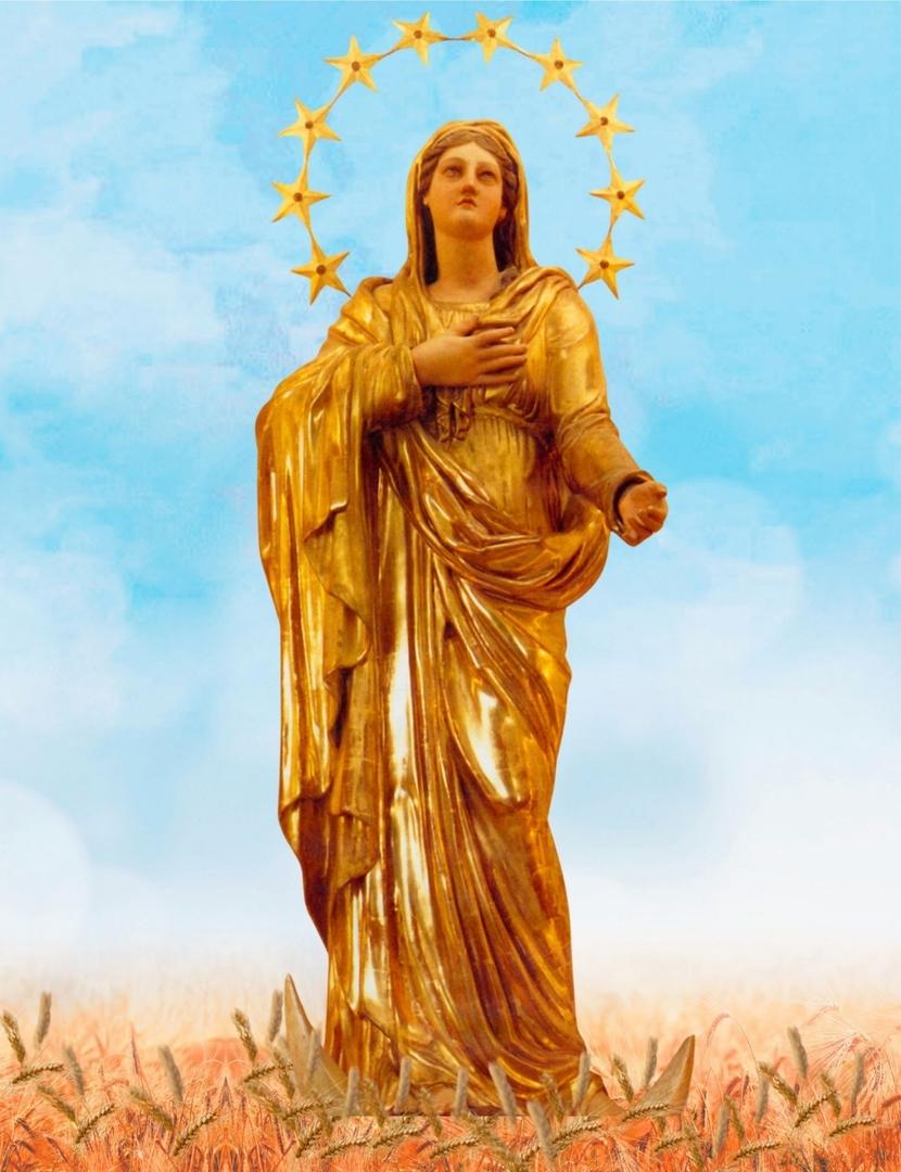 Nữ Vương Mân Côi và các Hiến Sĩ