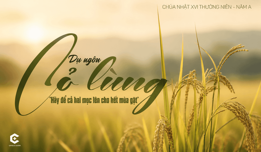 CHÚA NHẬT XVI THƯỜNG NIÊN – NĂM A