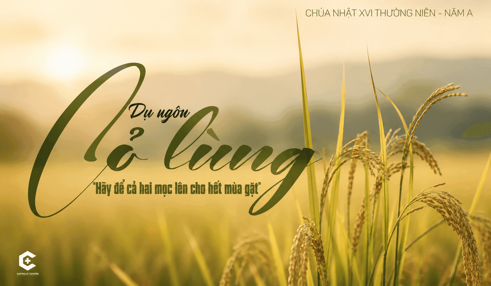 CHÚA NHẬT XVI THƯỜNG NIÊN – NĂM A
