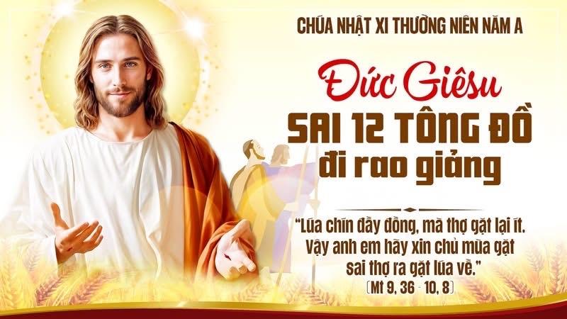 CHÚA NHẬT XI THƯỜNG NIÊN - NĂM A